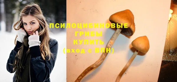 2c-b Белоозёрский