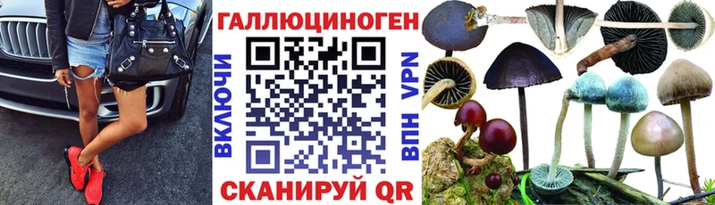 закладки  Моршанск  Галлюциногенные грибы Psilocybe 